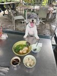 到我地, 菜肉雲吞
20260619_140824