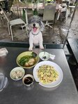 還有生炒牛肉飯
20260619_140928