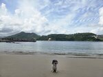東龍島沙灘和相左碼頭

20260619_143356