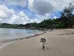 東龍島沙灘
20260619_143422