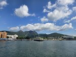 出發, 回望碼頭, 馬鞍山, 彎曲山和大金鐘

20260623_092635