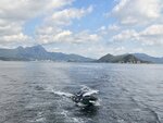 回頭望, 左馬鞍山, 彎曲山, 大金鐘, 右海中是橋咀島

20260623_095157
