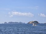 左果洲群島, 右大癩痢

20260623_100423
