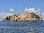 大癩痢, 相左似一長咀獸伏在水面嗎? 
20260623_101142