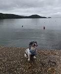 海下灣
20260628_154317~2