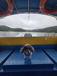 海下灣乘船去高流灣
20260628_160500