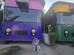 新田色彩泰國餐廳

20260712_174441