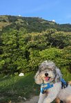 觀景位上望大帽山雷達站
20260712_184154