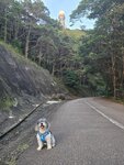 沿大帽山道上行本打算去另一觀景位, 中途開始起霧又時間不夠, 原路回落
20260712_185442~2