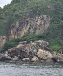 有隊友介紹相中右下白色大石叫靶石, 因為曾被用作練靶, 石面多子彈洞
20260714_100212