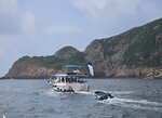 火石洲欖挽角洞(關刀洞), 大排和二排(右至左)
20260721_103708