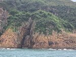 吊鐘岩(又叫金魚擺尾, 因從山上下望形似)及岩下吊鐘洞(又叫吊鐘拱門, 東海四大名洞之一)
20260728_100836