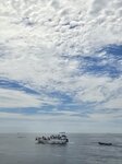 主船
20260804_103705