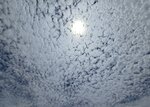 20260804_124816