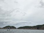 橫洲西岸斷頸頭
20260825_000010