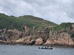 伙頭墳洲上小吊鐘洞(中間)
20260825_000023
