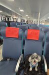 中環乘渡輪去南丫島榕樹灣
20260828_152915~2