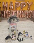 20260828_172929