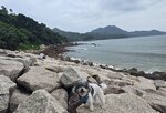 大灣肚遙望陰山

20260828_175208