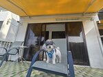 南丫島洪聖爺灣Concerto Inn Apartment門口
20260829_085653
