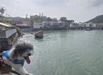 榕樹灣

20260829_093156