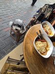 鯉景灣食早餐
20260829_111651