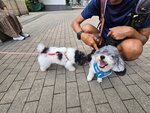 嘉亨灣海邊遇到2歲女將軍
20260829_114334