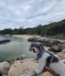 20260830_144123(0)