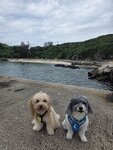 IMG-20260830-WA0045