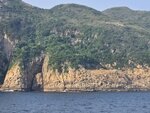 金魚擺尾和吊鐘拱門

20260908_000011