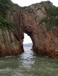 吊鐘拱門
20260908_000012