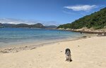 西貢沙塘口洲甕缸灣沙灘

00000018 游水 甕缸灣