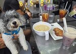 吃番個下午茶才返歸
00000032 游水 甕缸灣