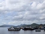 遙望廟仔墩, 釣魚翁和大嶺峒 (右至左)
20260915_000002