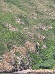 白虎山一對虎眼
20260915_000010
