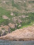白虎山下虎眼

20260922_102438