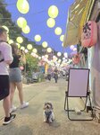 石仔埗
20260926_124804~72