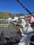 街市街吊橋望獅山象山

20260926_124804~8