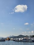 遙望釣魚翁和廟仔墩
20260929_092527