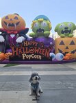 Popcorn
20261012_141650