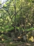 右邊有石級口指示"正馬", 好似話去石馬正脊

20261013_091252