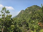 接獅尾脊續上山, 前見獅子山兩峰
20261013_102311
