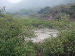 石堤上內望鎖羅盆廢村
P2057769