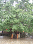 P2057790
