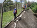 沿畢拉山道行了一段後, 又有野玩, 沿鐵絲網行上護土牆上面
P7209386
