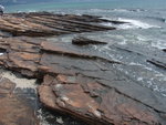 在東平洲海岸到處可見的頁岩
P8280980