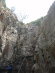 深水角西洞洞頂小樹
P9182440