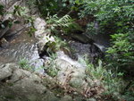 PA023072