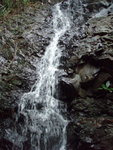 PA023079
