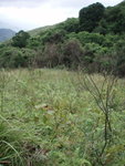 回望離澗地方
PA023096